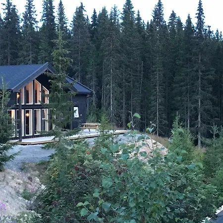 Lillebjorn Villa Trysil Exterior photo