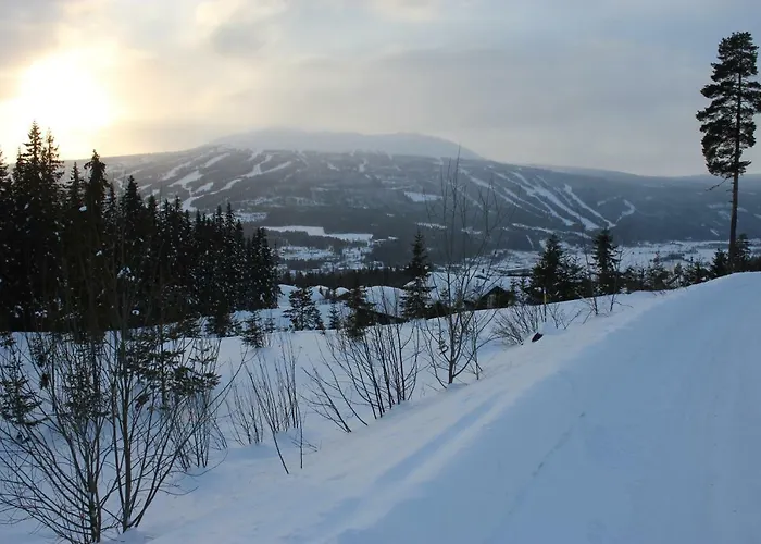 Lillebjorn