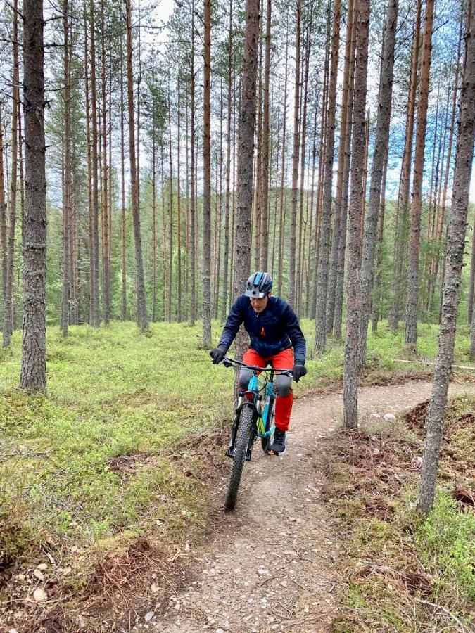 Lillebjorn Trysil