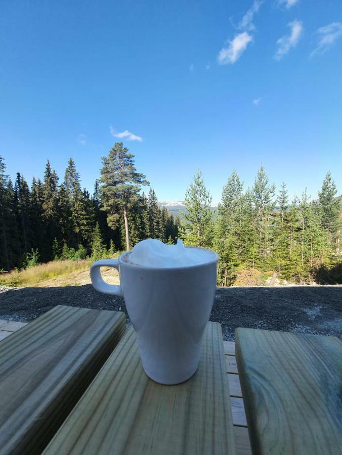 Lillebjorn Holiday home