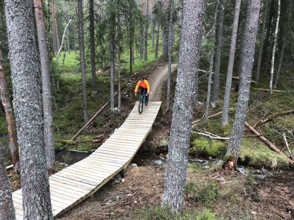 Lillebjorn * Trysil