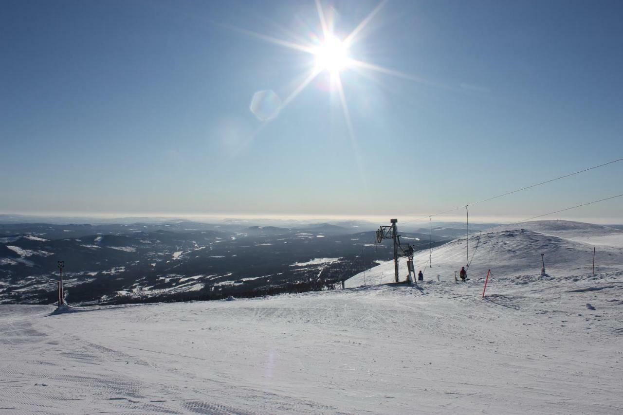 Lillebjorn Holiday home *