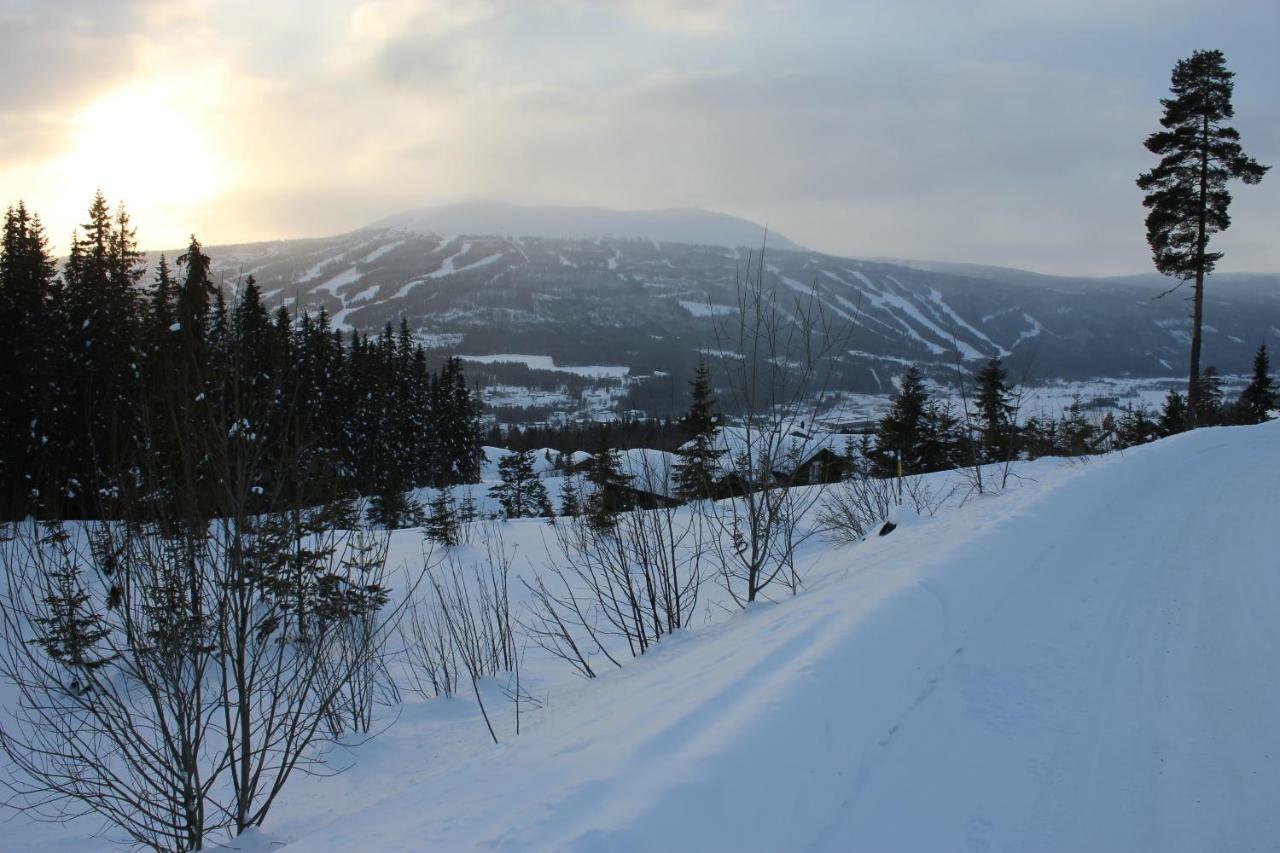 Lillebjorn Holiday home