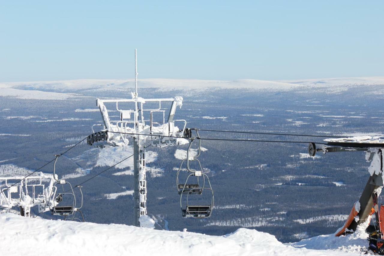 Lillebjorn * Trysil
