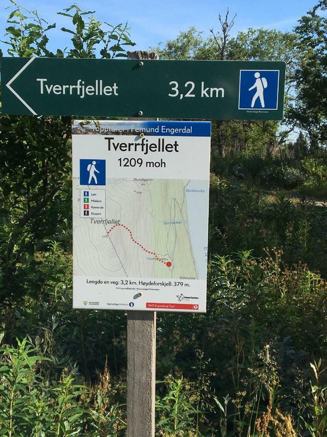 Lillebjorn *